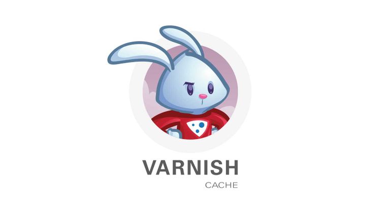 Varnish cache, How to cache static content